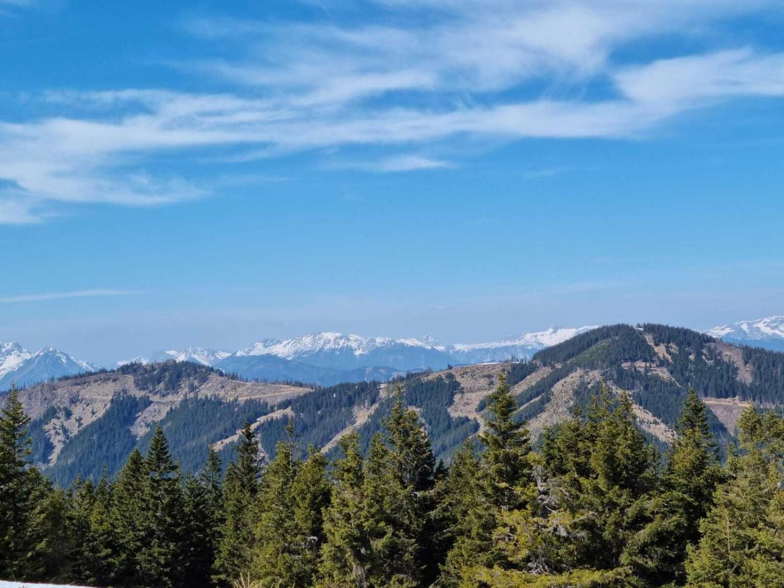 Apartments Am Kirchkogel "Laendliche Entspannung Im Herzen Der Steiermark" Pernegg an der Mur ห้อง รูปภาพ