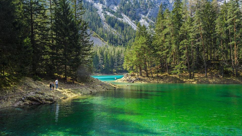 Apartments Am Kirchkogel "Laendliche Entspannung Im Herzen Der Steiermark" Pernegg an der Mur ห้อง รูปภาพ