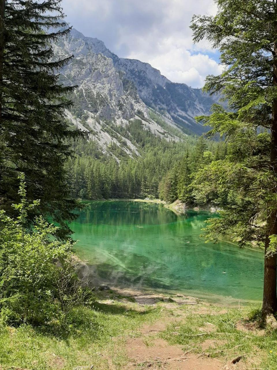 Apartments Am Kirchkogel "Laendliche Entspannung Im Herzen Der Steiermark" Pernegg an der Mur ห้อง รูปภาพ