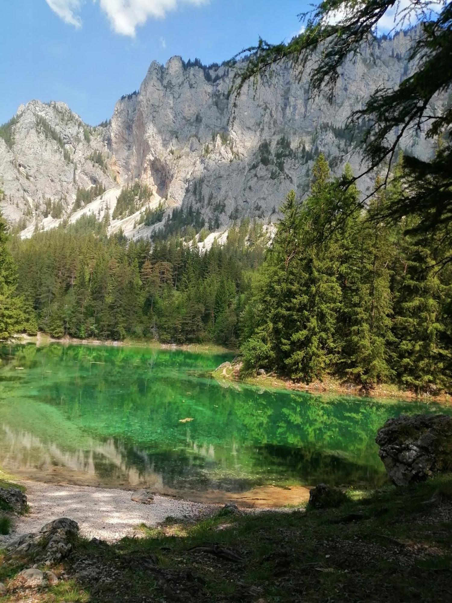 Apartments Am Kirchkogel "Laendliche Entspannung Im Herzen Der Steiermark" Pernegg an der Mur ห้อง รูปภาพ